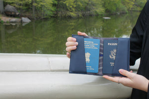 Ikat Passport Holder